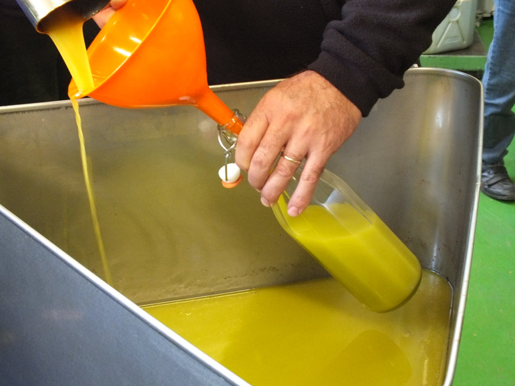 2025 Single-estate Sicilian Extra Virgin Olive Oil (500 mL)